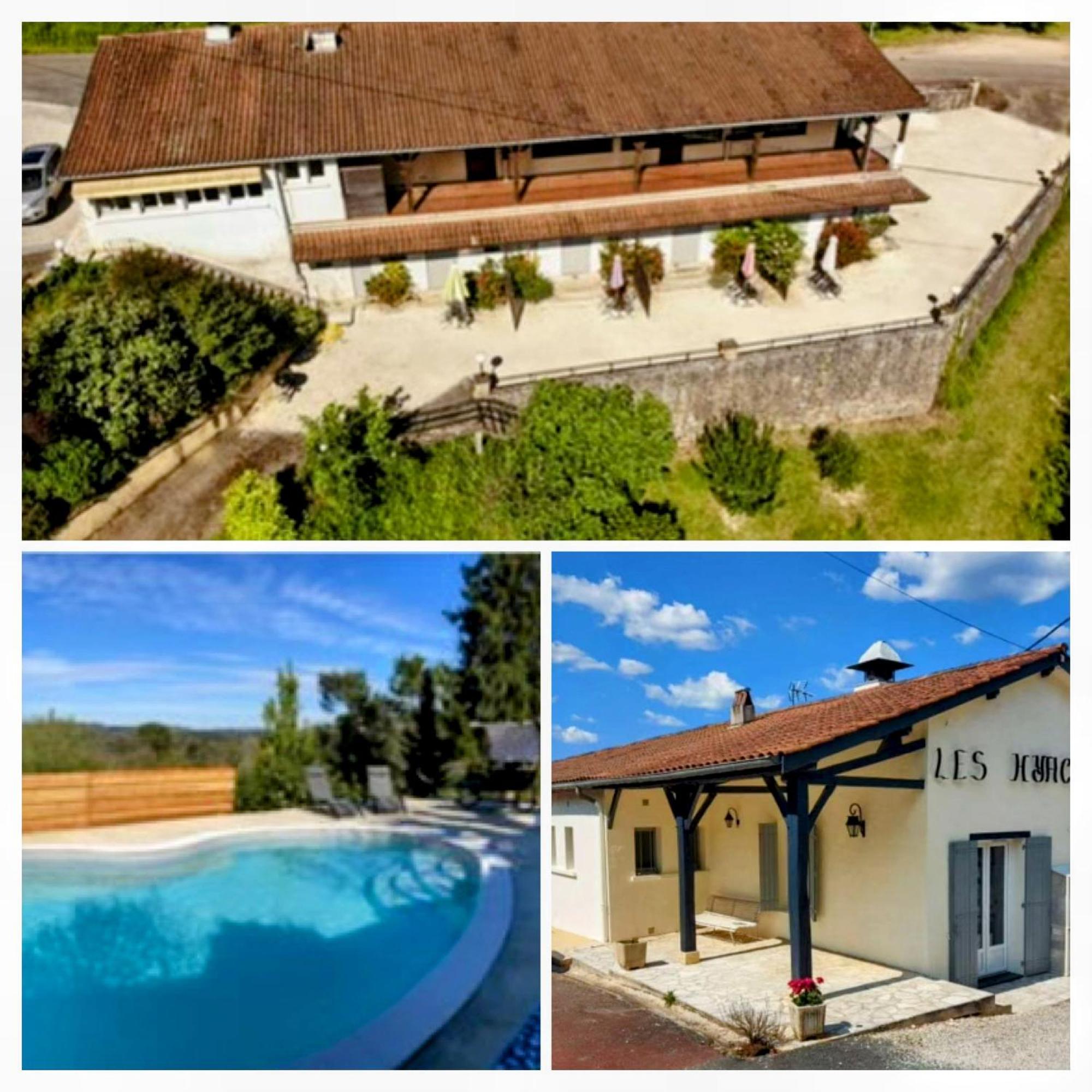 Les Hyacinthes 7 *